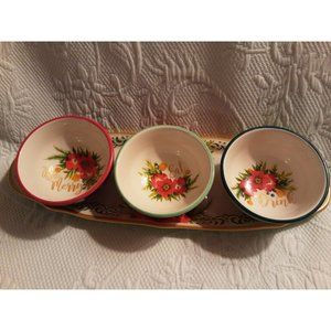 Pioneer Woman Garland Ceramic Condiment 4 Piece Set Winter Bouquet